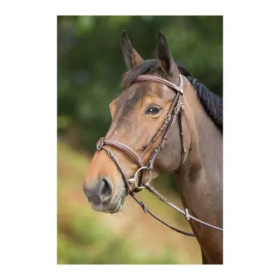 Riding bridles HFI Anatomic