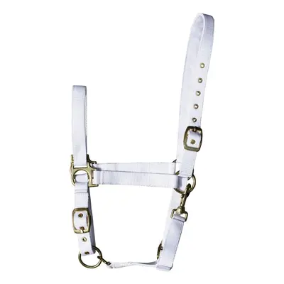 Halter for horse Harry's Horse