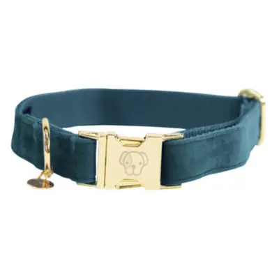 Dog collar Kentucky Velvet