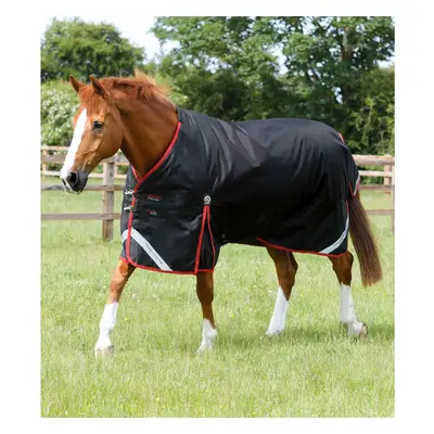 Outdoor horse blanket Premier Equine Turnout Rug 450 g