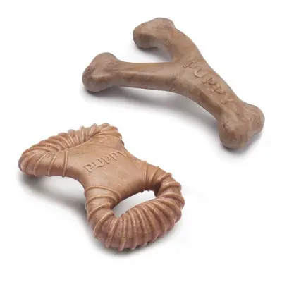 Puppy chew toy Benebone Dental chew-wishbone BacoN