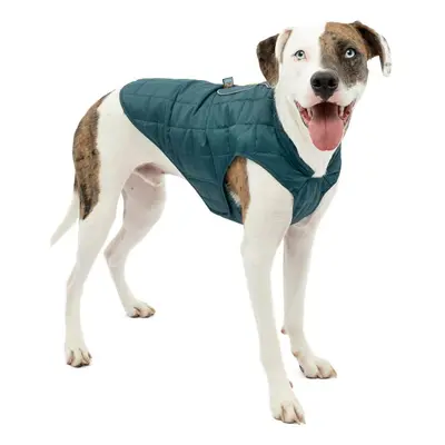 Dog coat Kurgo Loft