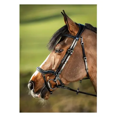 Riding bridles HFI Techno