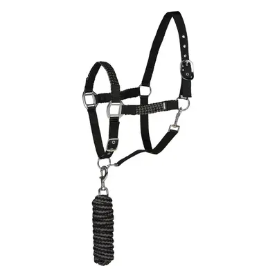 Halter and lead rope set for horse Horze Chicago