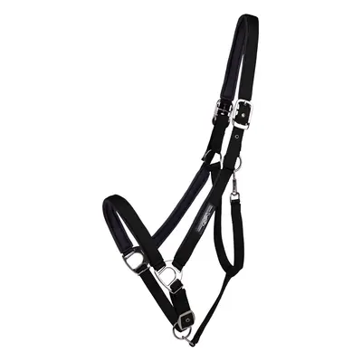 Halter for draft horse QHP Deluxe