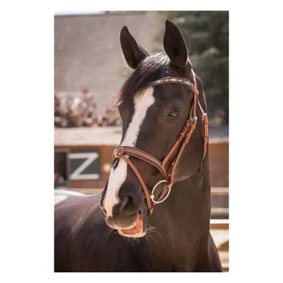 Bridles Penelope Smoothie Pearl