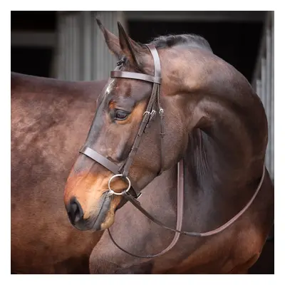 Riding bridle Velociti Gara