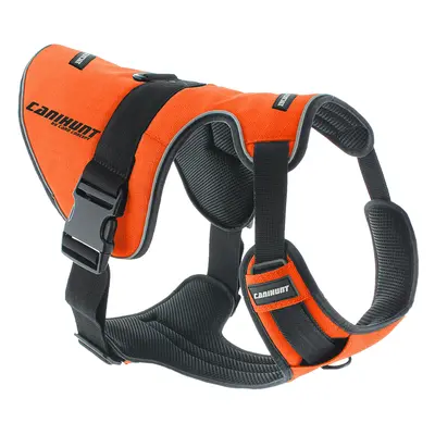 Dog safety harness Canihunt