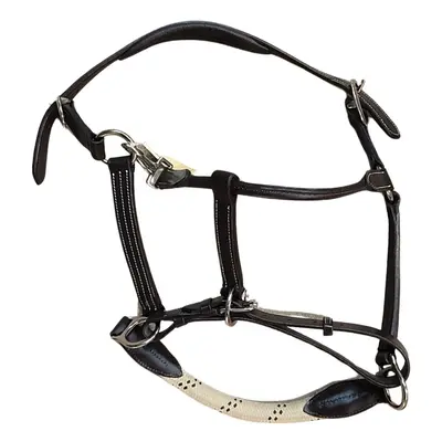 Leather halter for horse with reins Canter