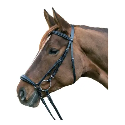 Combined noseband bridle Star Hannover