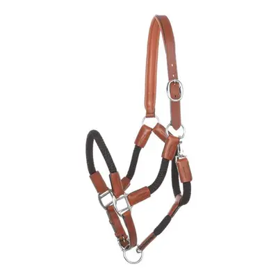 Halter for horse in reins Kavalkade Cavo