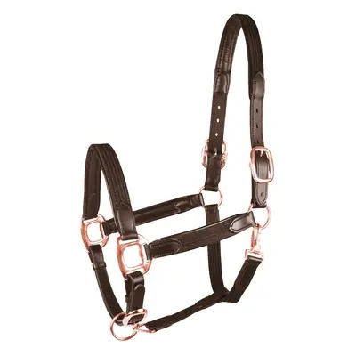 Horse halter Star Mix