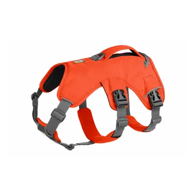 Dog harness Ruffwear Web Master