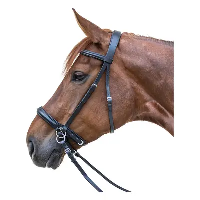 Combined bridle with noseband, without bit Star