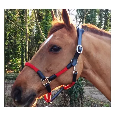 Leather halter and rope for horse Cavaletti Tara