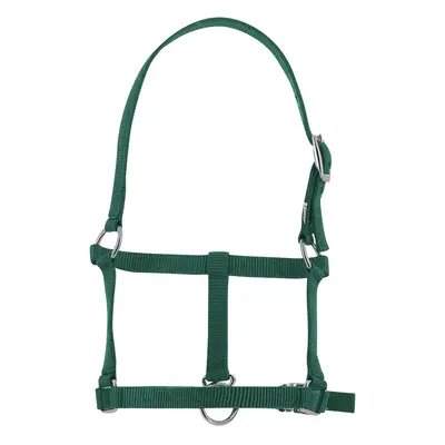 Halter for foal Riding World