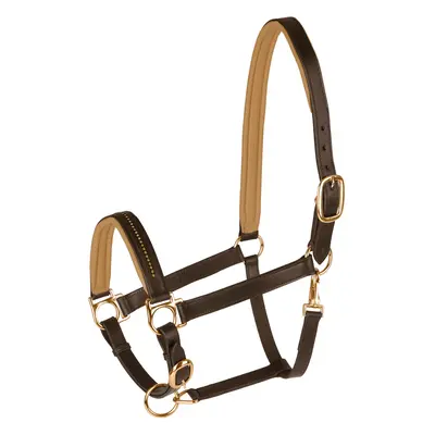 Halter for horse Star Diamond