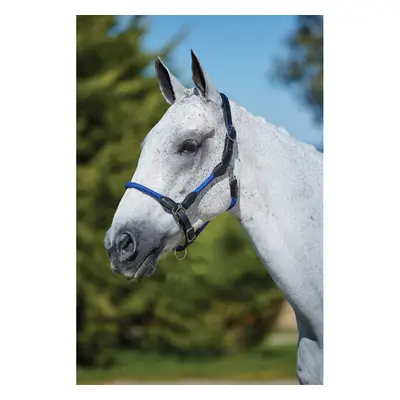 Leather halter for horses Kincade