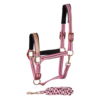 Halter set for horse Harry's Horse Mare