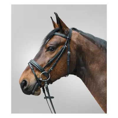 Combined noseband bridle Star Diamond