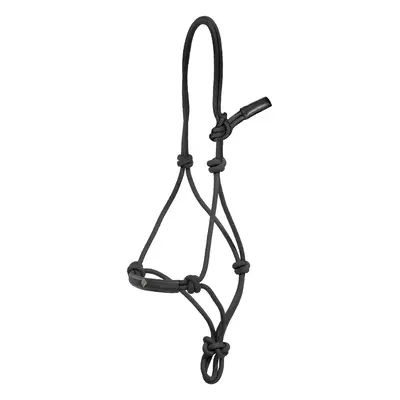 Horse training halter Dy’on