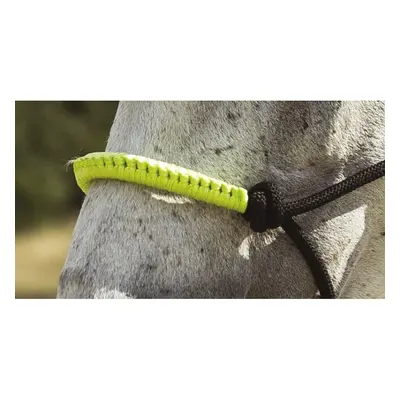 Halter for horse Norton Fun color