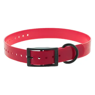 Double buckle polyurethane dog collar Canihunt Xtreme