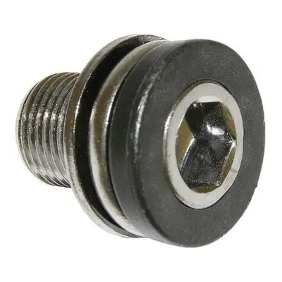 Bottom bracket screw Algi 12X100 (00343000)