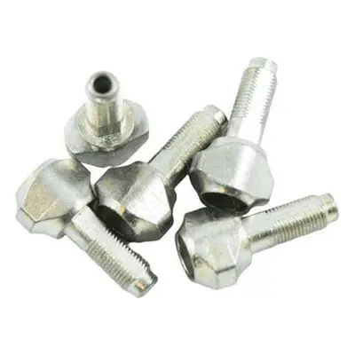 Rear derailleur tension adjustment screw Campagnolo (x5)