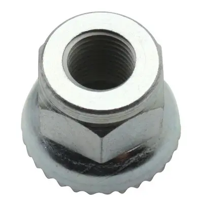 Bicycle wheel nut with washer Algi Crantee (00591001)