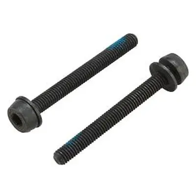 44 mm screws for rear mounting Campagnolo 35-39 mm (x2)