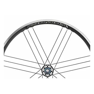 Left rear disc wheel spokes Campagnolo Zonda (x4)