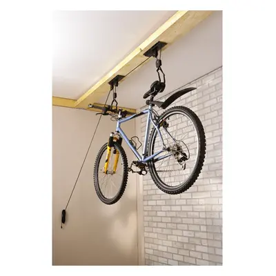 Ceiling mount for handlebar and saddle attachment Mottez