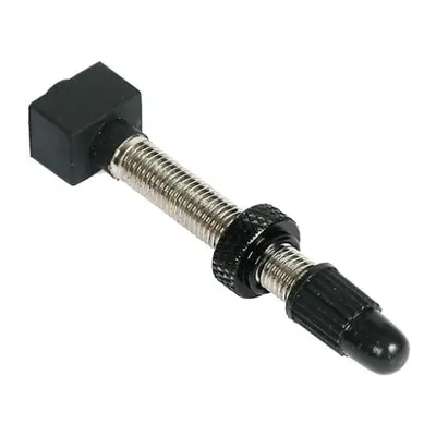 Tubeless valve Reynolds