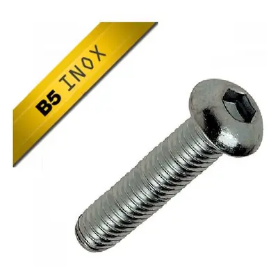 Bag of 10 stainless steel screws Black Bearing M5 x 20 TBHC