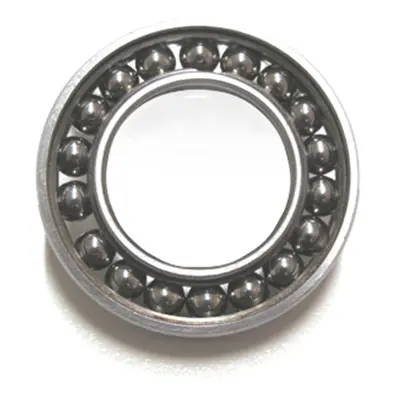 Bearing Black Bearing Max