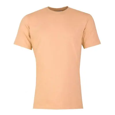 T-shirt Colorful Standard classic organic