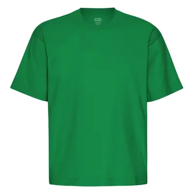 Oversized T-shirt Colorful Standard Organic Kelly Green