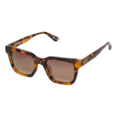 Sunglasses Superdry SDR Garritsen