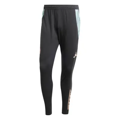 Training Trousers Bayern Munich Tiro 2024/25