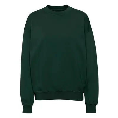 Sweatshirt Crewneck Colorful Standard Organic oversized hunter green