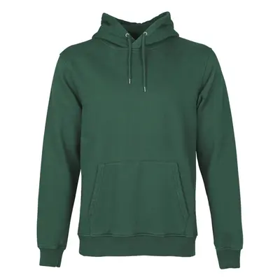 Hoodie Colorful Standard Classic Organic emerald green