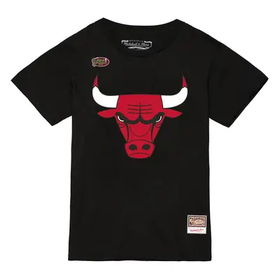 T-shirt Chicago Bulls NBA Team Logo