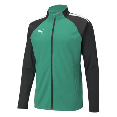 Jacket Puma Team Liga Training