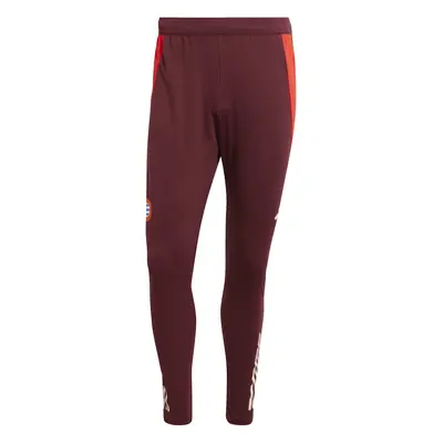 Training Trousers Bayern Munich 2024/25