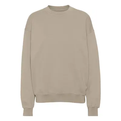 Sweatshirt Crewneck Colorful Standard Organic oversized oyster grey