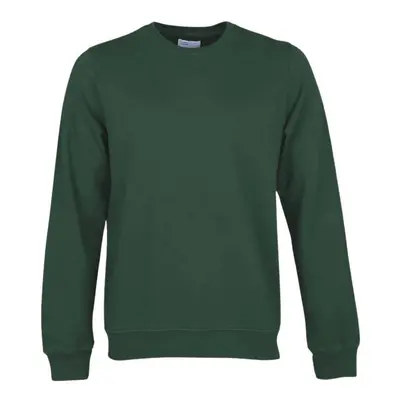 Sweatshirt Crewneck Colorful Standard Classic Organic emerald green