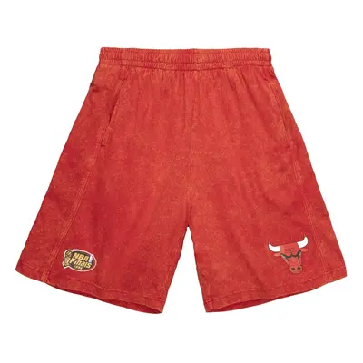 Nba shorts Chicago Bulls 1996