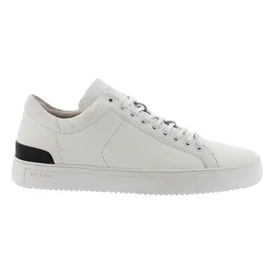 Low top sneakers Blackstone