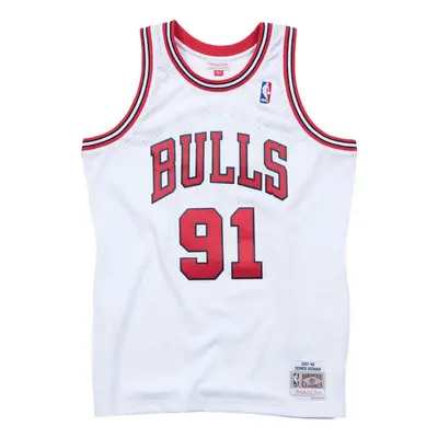 Nba jersey Chicago Bulls Dennis Rodman